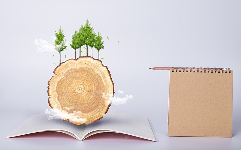 關(guān)于紙的知識(shí)，你平時(shí)知多少